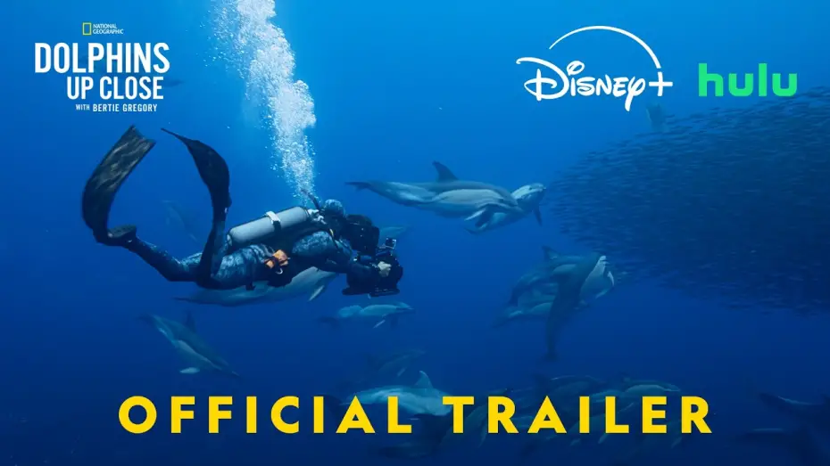 Watch film Dolphins Up Close with Bertie Gregory | Dolphins Up Close with Bertie Gregory | Official Trailer | National Geographic
