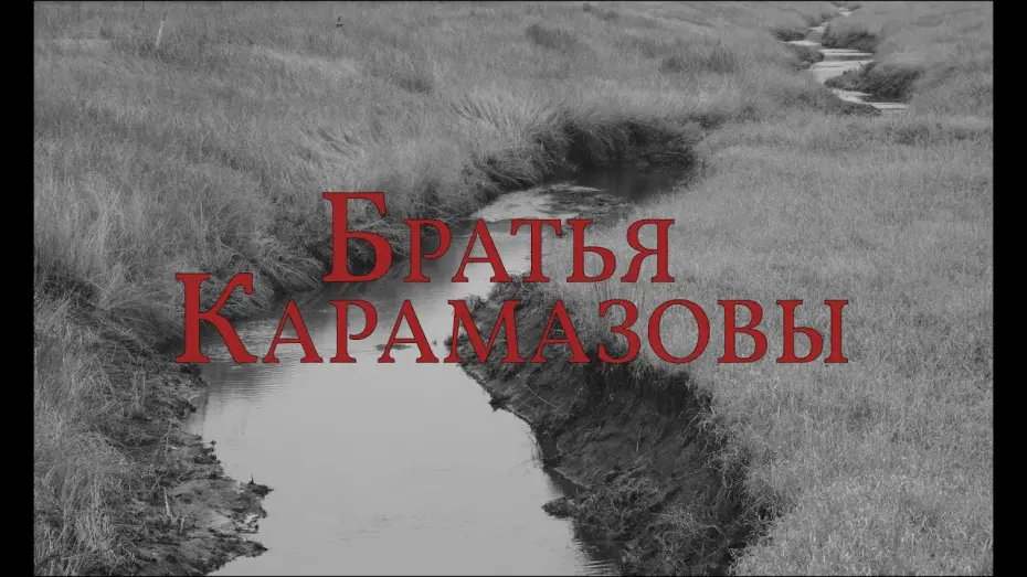Watch film brothers karamazov | From the Author