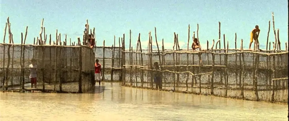 Watch film Heartless | Trailer "Sem Coração" - Mostra competitiva - Festival de Brasília do Cinema Brasileiro