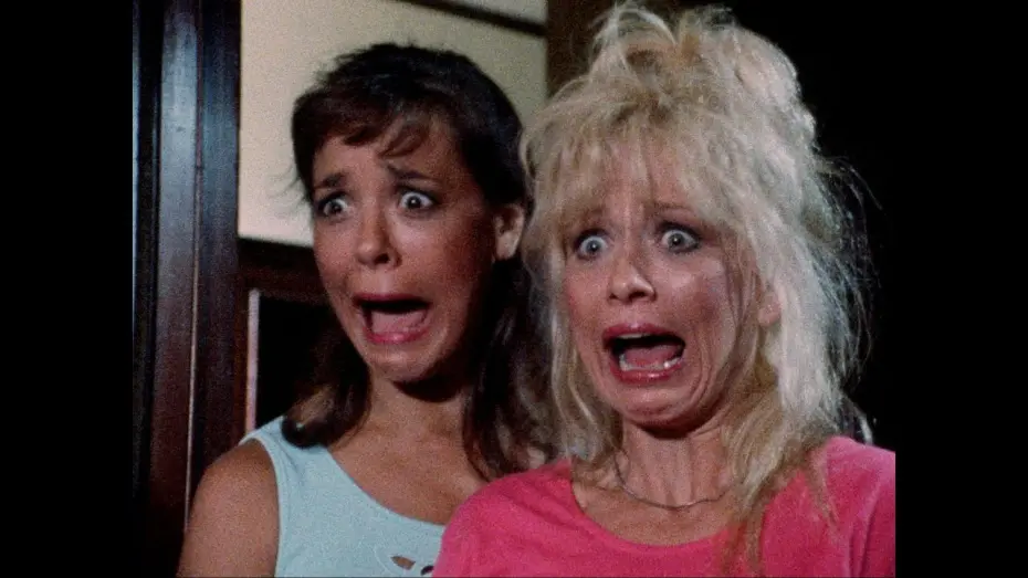 Watch film Assault of the Party Nerds | Culture Shock Releasing Late Night Classics Blu-Ray Trailer