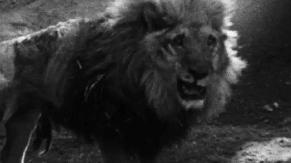 Watch film Of Animals and Men | Trailer