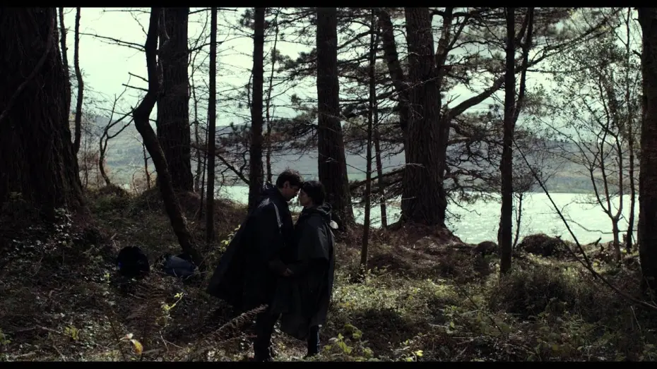 Watch film The Lobster | Out on DVD, Blu-Ray and Digital 8 Feb