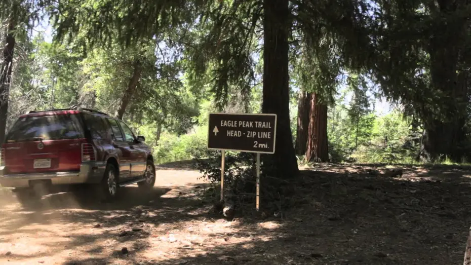 Watch film Army Dog | Army Dog