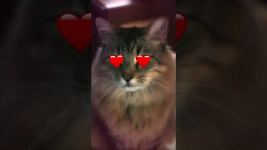 Watch film Caught Stealing | In Cinemas Sept 10