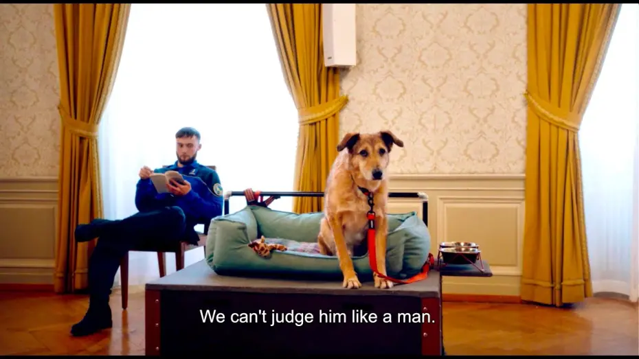 Watch film Dog on Trial | Dog on Trial / Le Procès du chien (2024) - Trailer (English Subs)