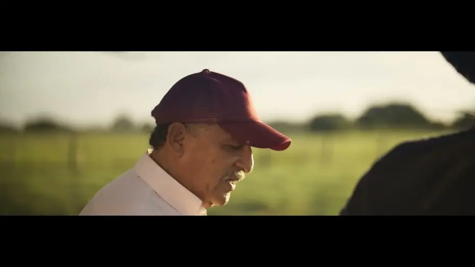 Watch film The Beast | Trailer Cachirre - Juan Miguel Gelacio -Colombia - 2024