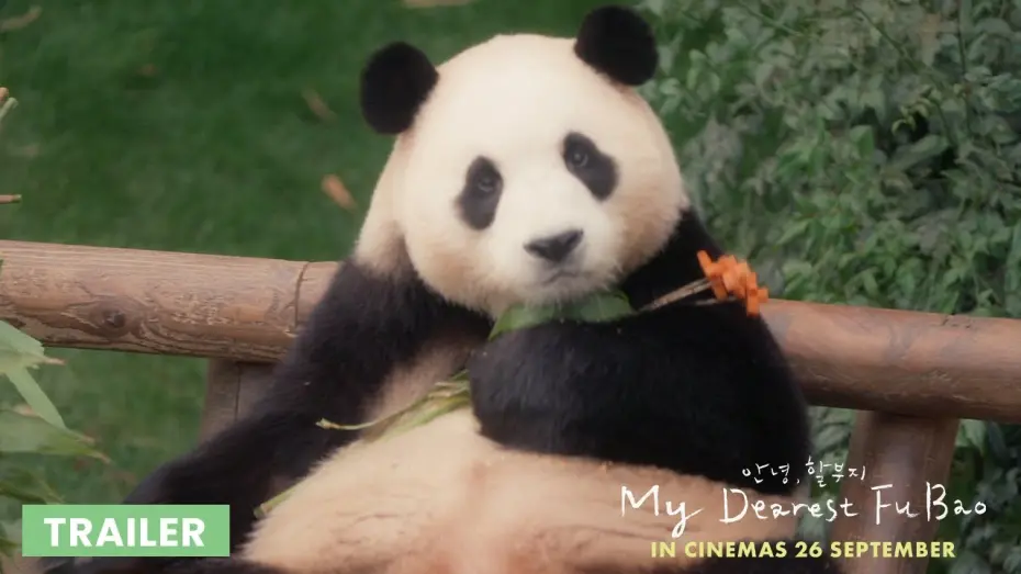 Watch film My Dear Grampa | MY DEAREST FU BAO - Trailer | In Cinemas 26 September 2024