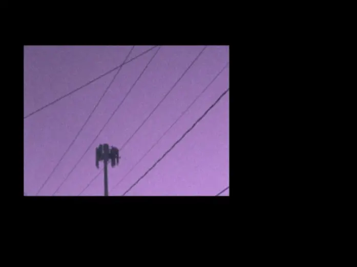 Watch film Transmissions From The Garden Of The Stone Roses | Transmissions From The Garden Of The Stone Roses Trailer