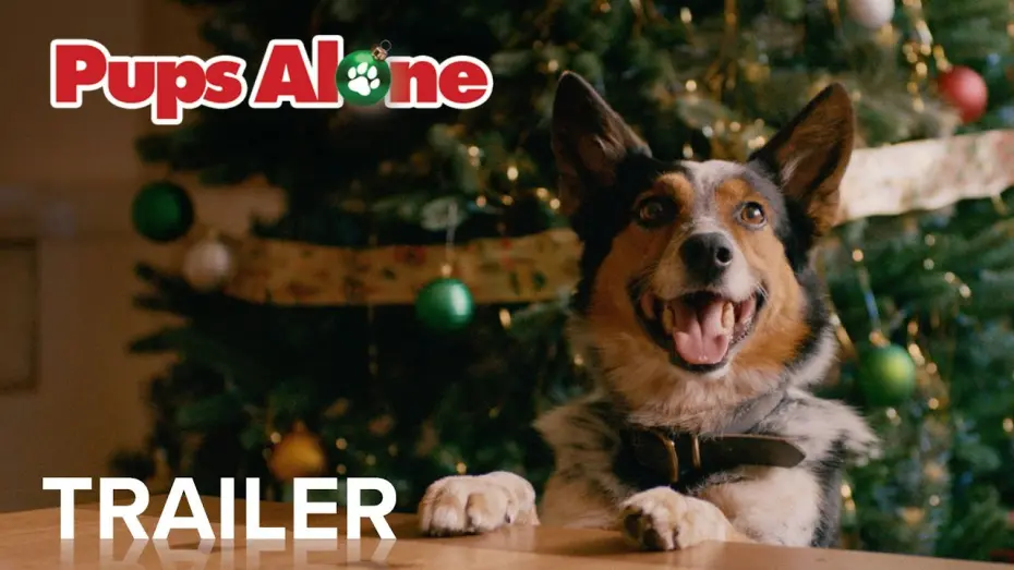 Watch film Pups Alone | PUPS ALONE | Official Trailer | Paramount Movies