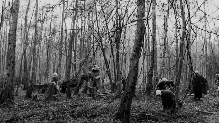 Watch film Arcadia | Clip