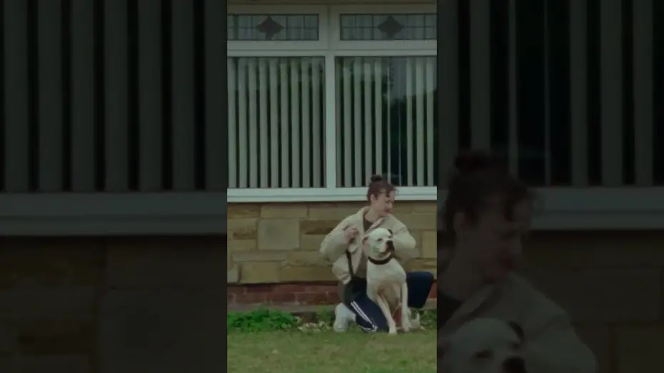 Watch film Dragonfly | "Andrea Riseborough and Brenda Blethyn are at the top of their game" (Hollywood Reporter)