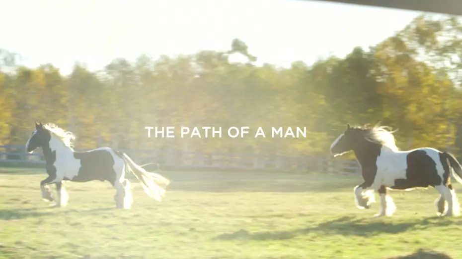 Watch film The Gardener | Trailer The Gardener