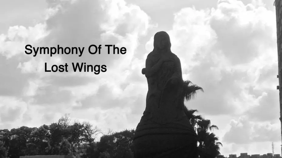 Watch film Symphony Of The Lost Wings | Symphony Of The Lost Wings (short film)