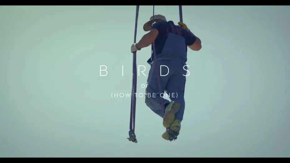 Watch film Birds (Or How to Be One) | Birds (Or How To Be One) / Όρνιθες (ή Πώς να γίνεις πουλί) by Babis Makridis – International Trailer