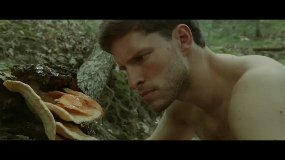 Watch film Harvest Lake | 