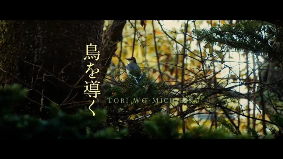 Watch film Leading Your Birds | 映画「鳥を導く」日本語版 予告編