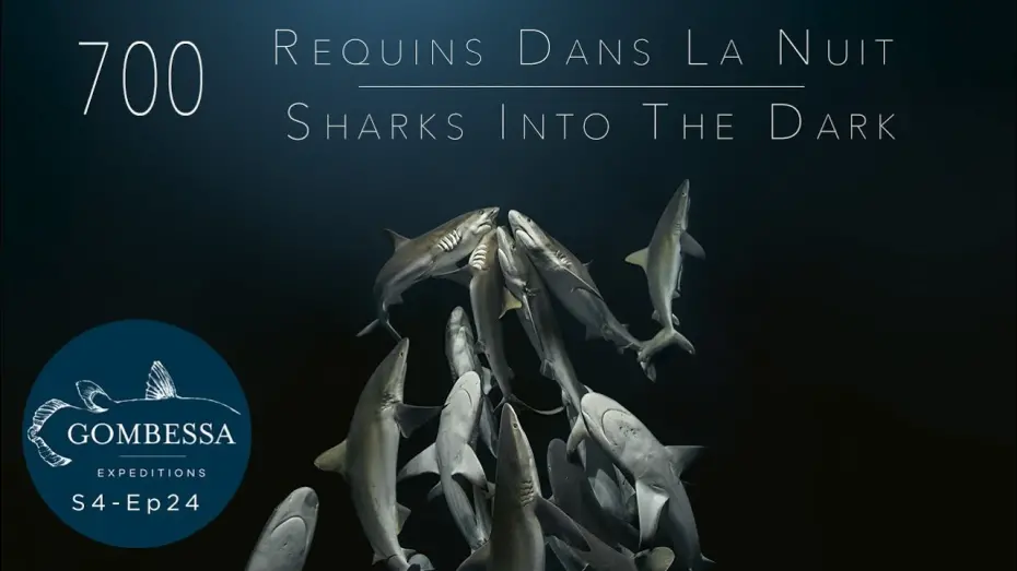Watch film 700 Sharks | Gombessa 4 - 700 requins dans la nuit - Ep24