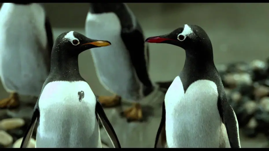 Watch film Mr. Popper