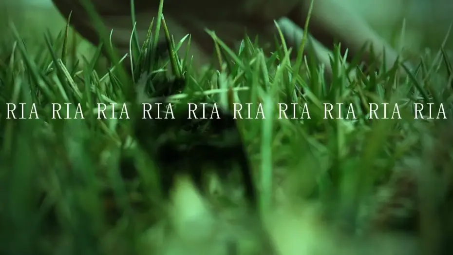 Watch film I Am Air | I Am Air