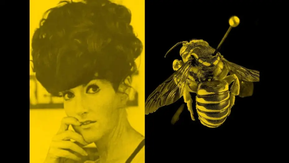 Watch film The Beehive | The Beehive | Zanny Begg