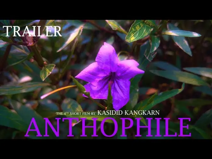 Watch film Anthophile | Anthophile | Short film trailer