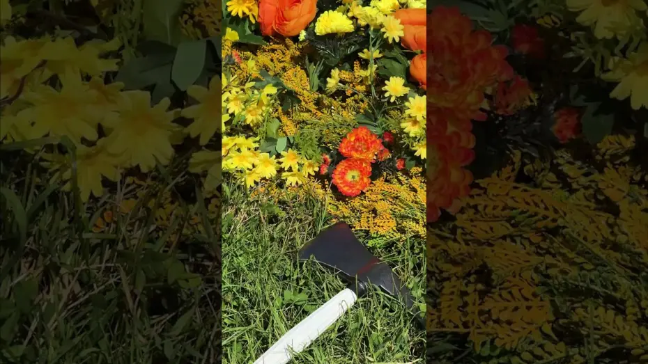 Watch film The Hunger Games: Sunrise on the Reaping | Now in production.