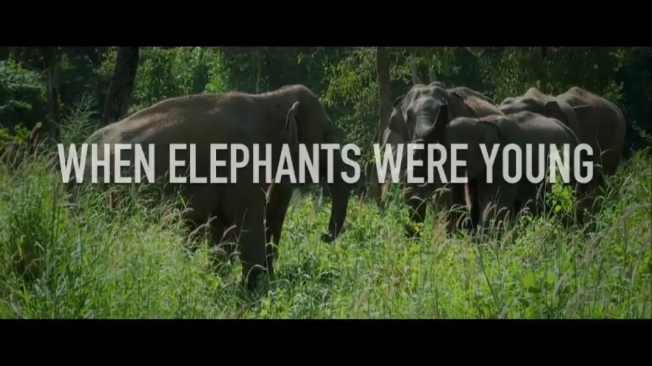 Watch film When Elephants Were Young | When Elephants Were Young - Trailer 1080p  [2016]