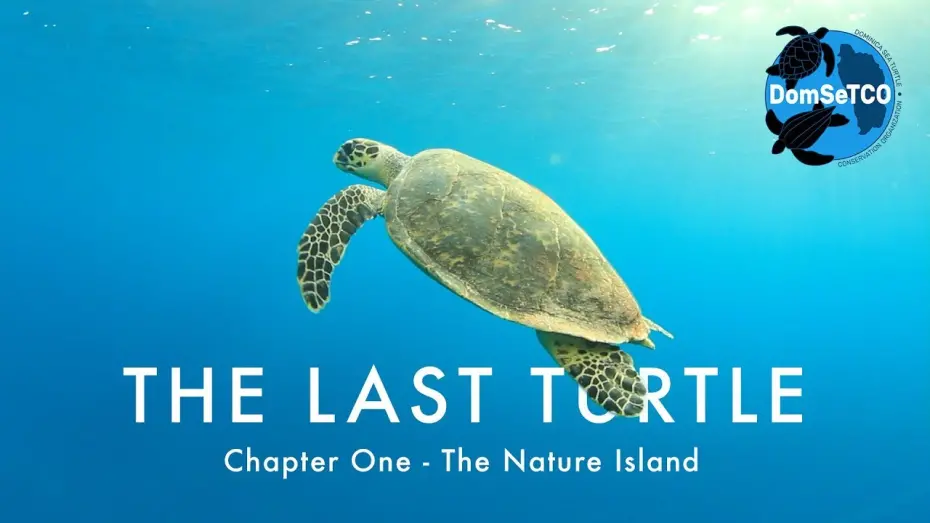 Watch film The Last Turtle | The Last Turtle | Ep.1, The Nature Island