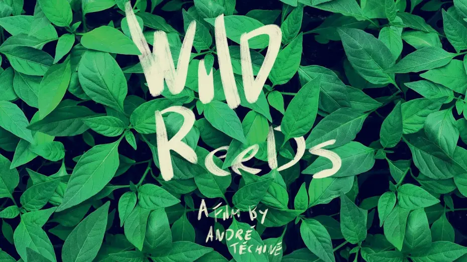 Watch film Wild Reeds | Wild Reeds (Les roseaux sauvages) - U.S. Restoration Trailer (HD)