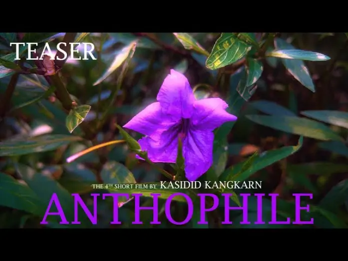 Watch film Anthophile | Anthophile | Short film Teaser