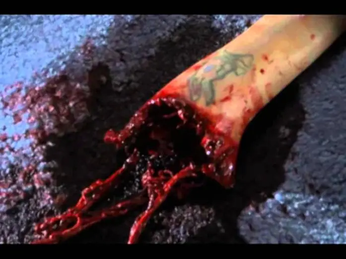 Watch film Mega Scorpions | Mega Scorpions Trailer