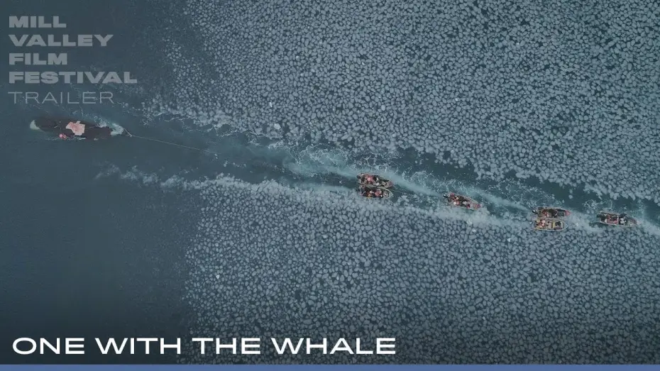 Watch film One with the Whale | MVFF46 - ONE WITH THE WHALE - Official Trailer