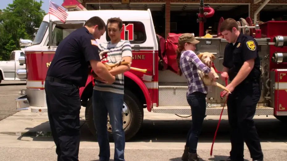 Watch film 12 Dog Days Till Christmas | 12 Dog Days Till Christmas - Trailer