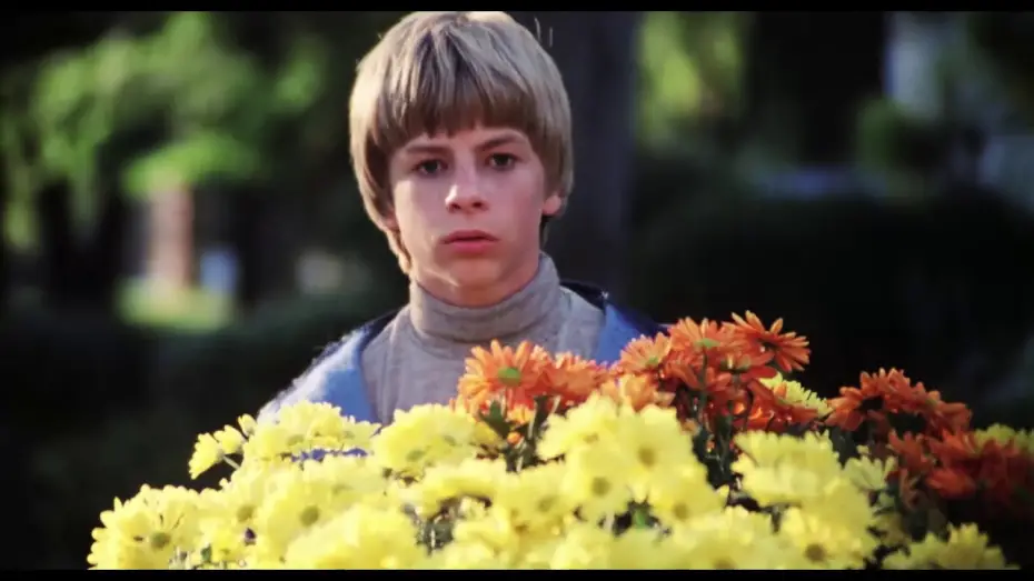 Watch film The Pit | The Pit - Official Trailer (Re-release)