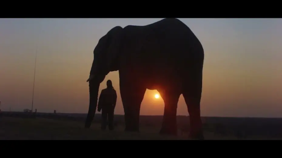 Watch film Diary of an Elephant Orphan | DIARY OF AN ELEPHANT ORPHAN Official Trailer