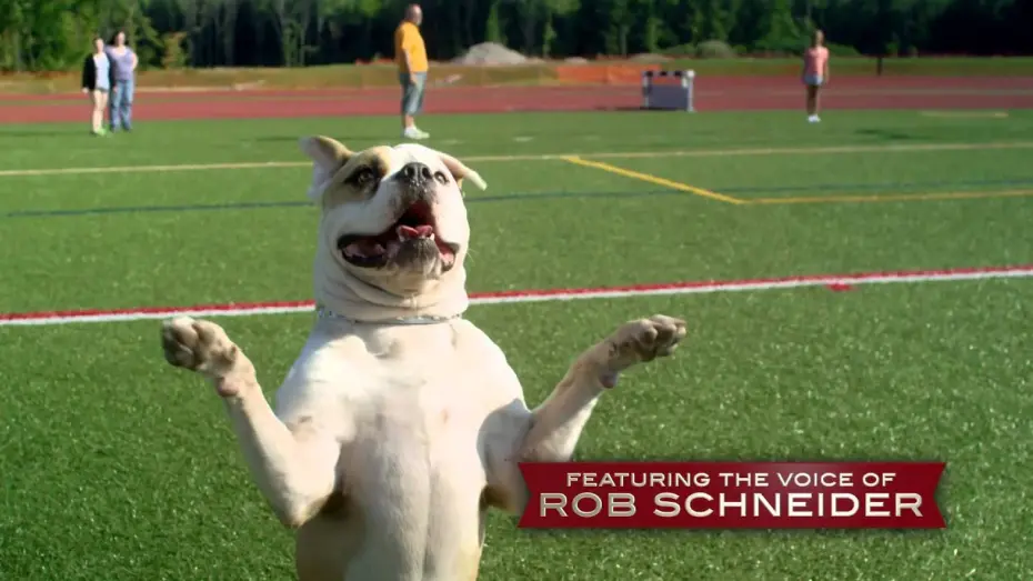 Watch film Pups United | PUPS UNITED Official Trailer (2015) - Rob Schneider