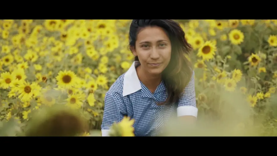 Watch film Dreams of Paper & Ink | Dreams of Paper & Ink | Official Trailer | HD