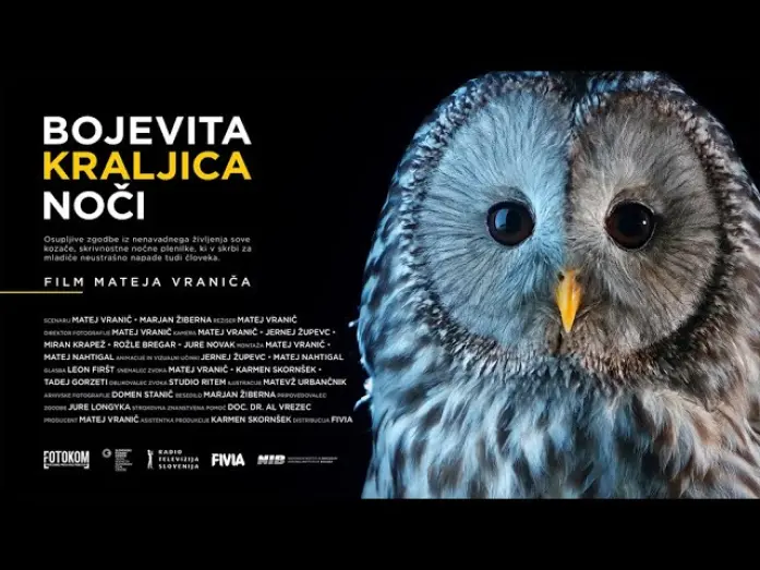 Watch film Fearless Queen of the Night | Bojevita kraljica noči | v kinu od 5.10.2024