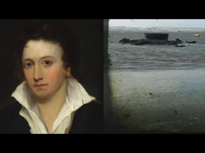 Watch film Shelley