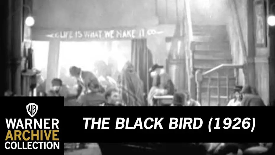 Watch film The Blackbird | Preview Clip | The Black Bird | Warner Archive