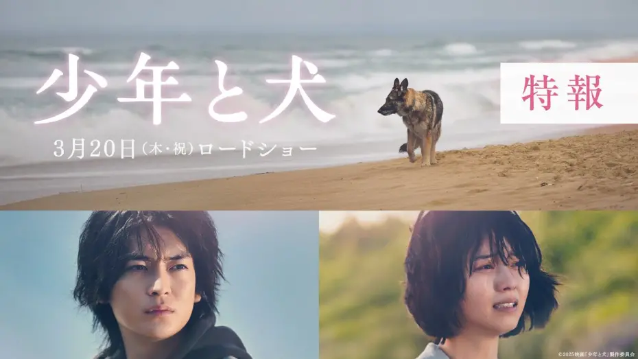 Watch film The Boy and the Dog | 映画『少年と犬』特報映像【2025年3月20日(木・祝)公開】