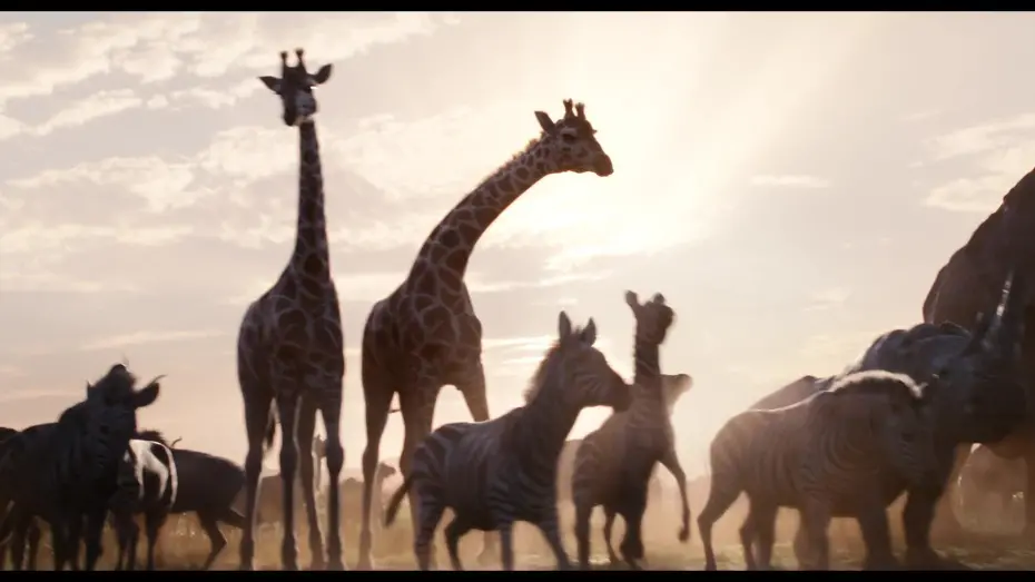 Watch movie trailer