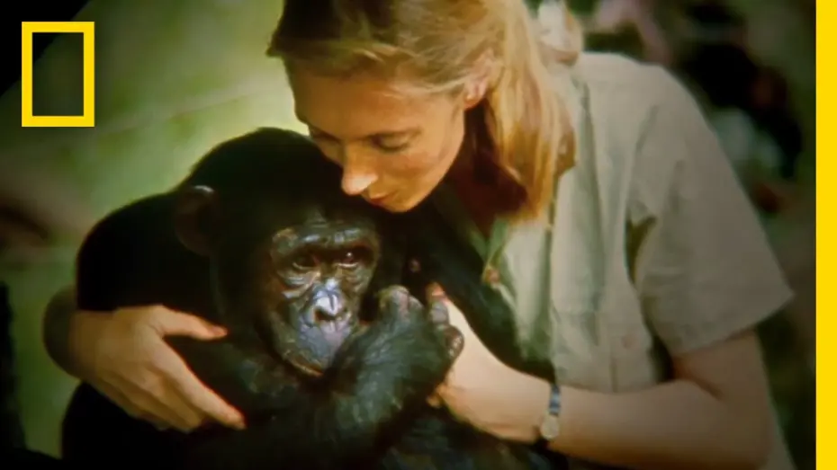 Watch film Jane | Official Film Trailer: JANE | National Geographic