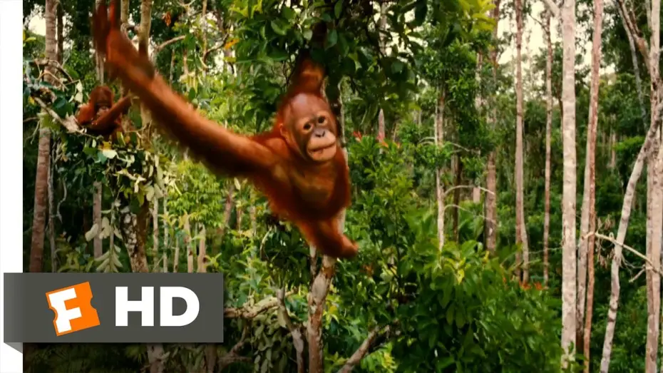 Watch film Born to Be Wild | Born to Be Wild Official Trailer #1 - (2011) HD