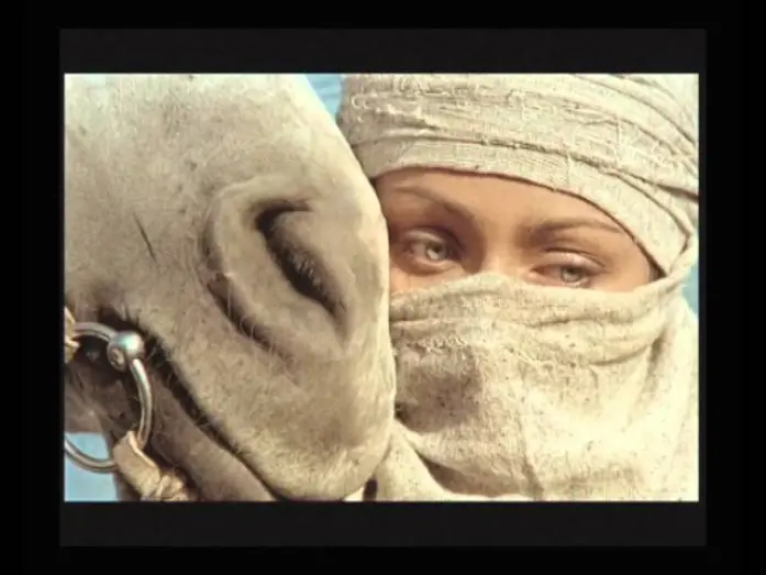 Watch film Mamay | MAMAY/МАМАЙ  (trailer film)