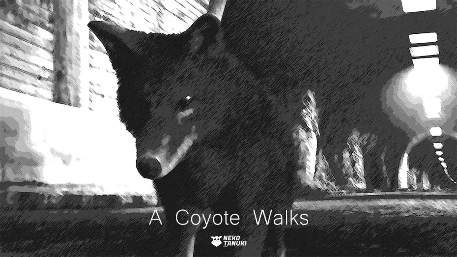 Watch film A Coyote Walks | A COYOTE WALKS (2025) | a NEKO-TANUKI Studio Short Film