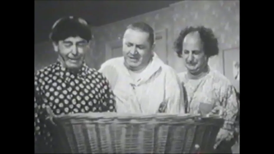 Watch film Stop! Look! and Laugh! | Stop! Look! And Laugh! Trailer