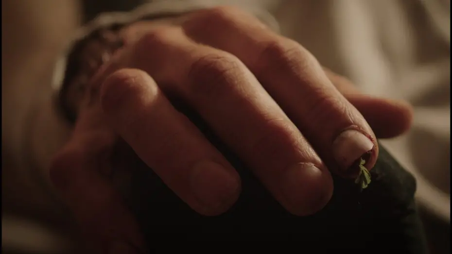 Watch film Edward Has A Tree Inside Him | Edward Has A Tree Inside Him - Short Film Trailer