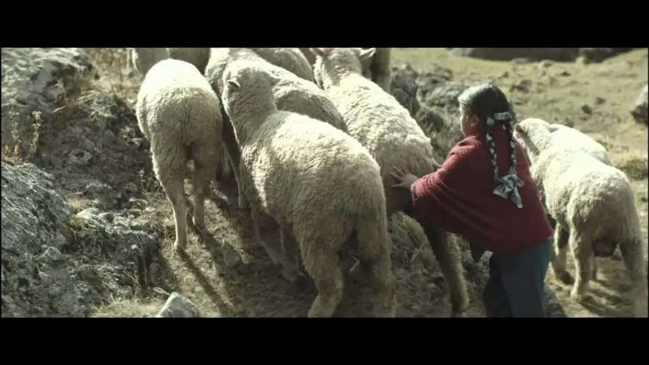 Watch film The Greatest House in the World | LA CASA MAS GRANDE TRAILER