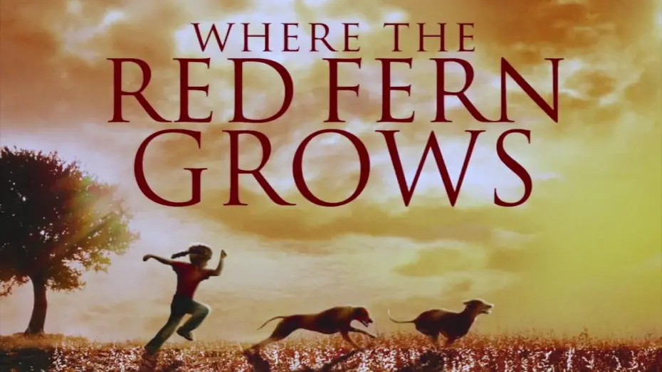 Watch film Where the Red Fern Grows | Where the Red Fern Grows - Trailer